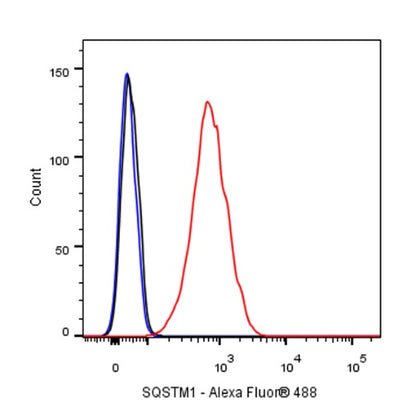 SQSTM1/p62 Recombinant Rabbit mAb (S-778-1)