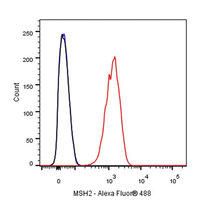 MSH2 Recombinant Rabbit mAb (SDT-037-20)