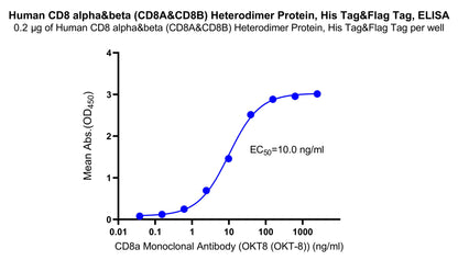 Human CD8 alpha&beta (CD8A&CD8B) Heterodimer Protein, His Tag&Flag Tag