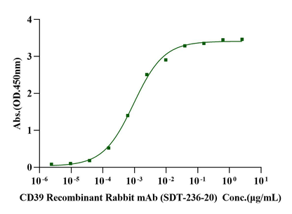 CD39/ENTPD1 His Tag Protein, Human