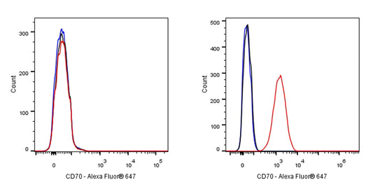 Mouse Anti-Human CD70 Antibody (Ki-24)