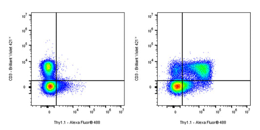 Mouse Anti-Mouse Thy1.1 (CD90.1) Antibody (S-3781)