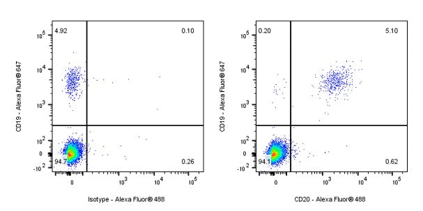 Mouse Anti-Human CD20 Antibody (2H7)