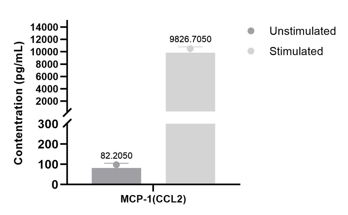 Human MCP-1 (CCL2) Single Plex Kit (Flow Cytometry Bead Assay)
