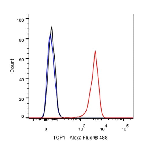 Topoisomerase I/TOP1 Recombinant Rabbit mAb (S-822-60)