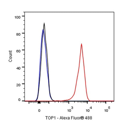 Topoisomerase I/TOP1 Recombinant Rabbit mAb (S-822-60)
