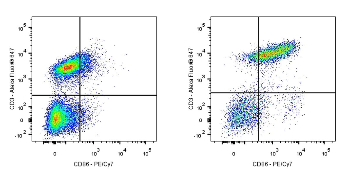 PE-Cy7 Rat Anti-Mouse CD86/B7-2 Antibody (GL-1)