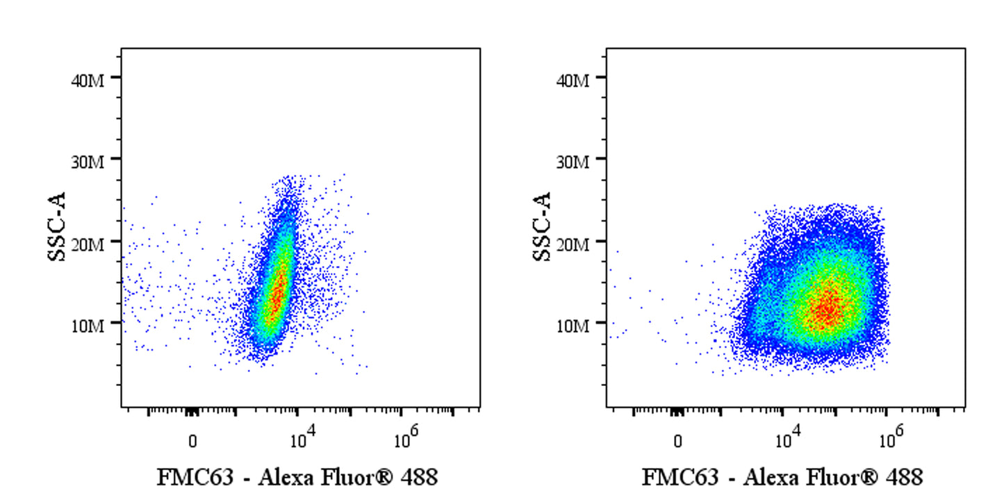 Anti-FMC63 Recombinant Mouse mAb (S-5031)