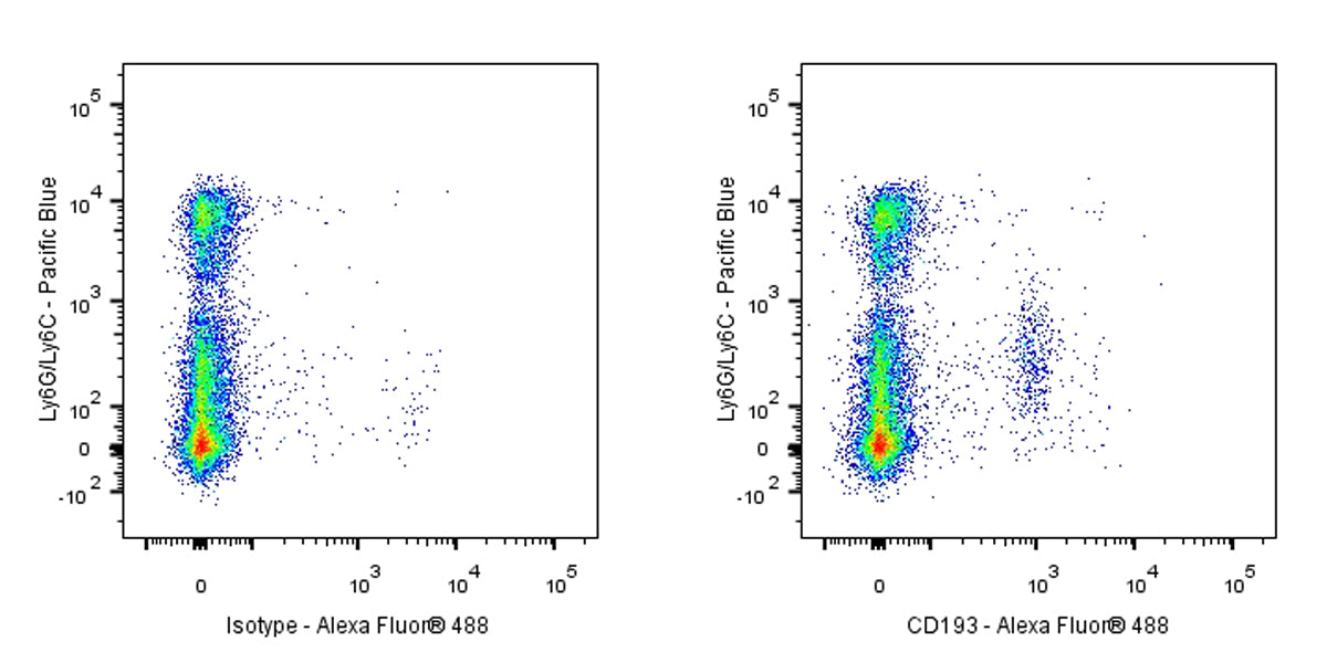 Rat Anti-Mouse CD193 Antibody(S-R699)