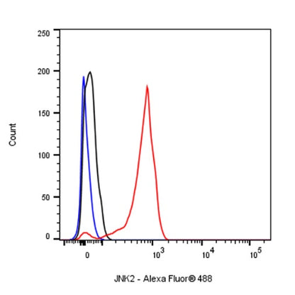 JNK2 Recombinant Rabbit mAb (S-1021-46)