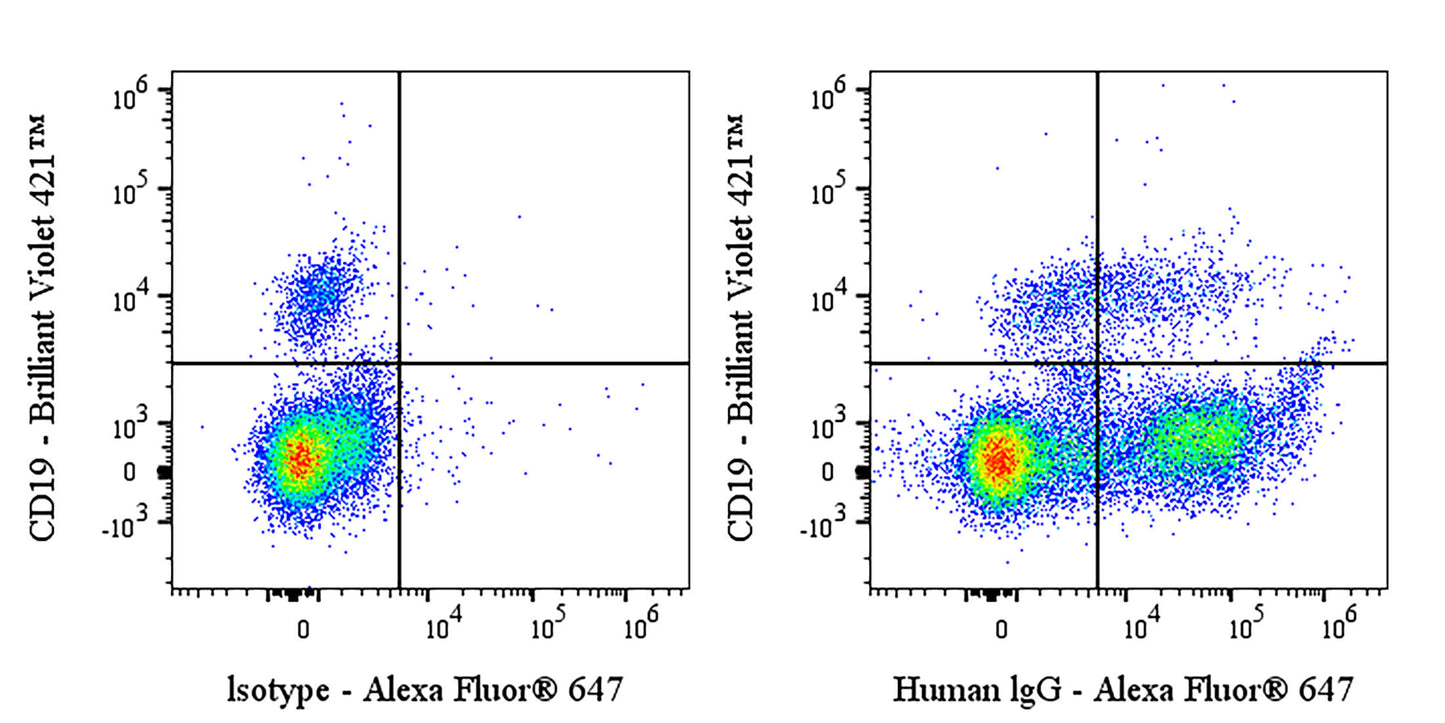 Mouse Anti-Human IgG Antibody (S-4825)