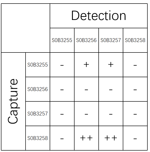 KIM-1 Recombinant Rabbit mAb (SDT-932-102)