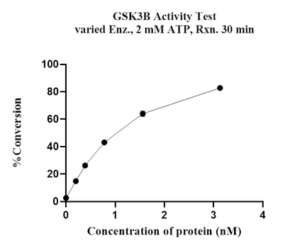 GSK-3β Protein