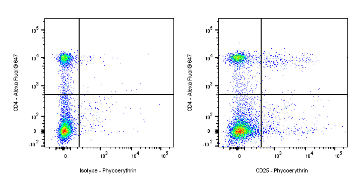 PE Rat Anti-Mouse CD25 Antibody (S-R441)