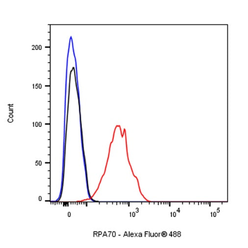RPA70 Recombinant Rabbit mAb (S-1653-9)