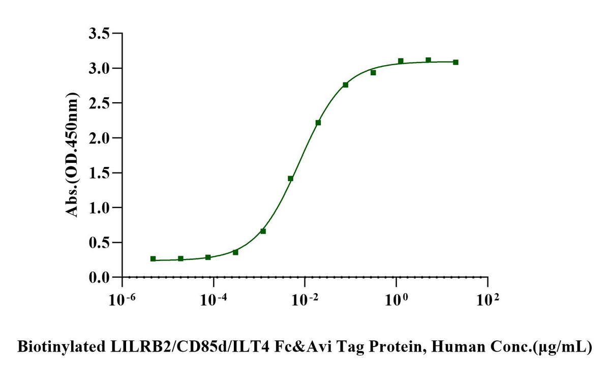 Biotinylated LILRB2/CD85d/ILT4 Fc&Avi Tag Protein, Human