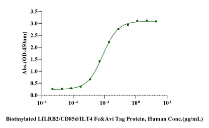 Biotinylated LILRB2/CD85d/ILT4 Fc&Avi Tag Protein, Human