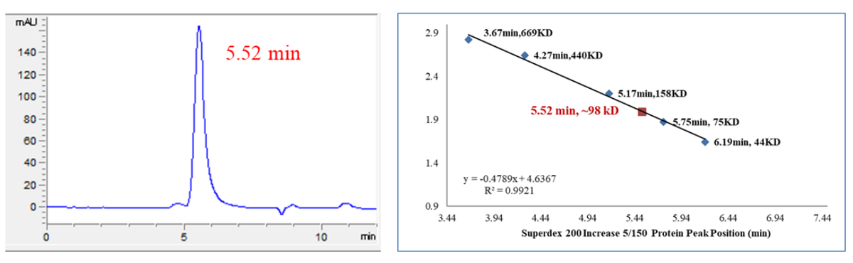 Biotinylated BTK Protein, Human