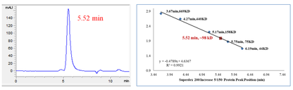 Biotinylated BTK Protein, Human