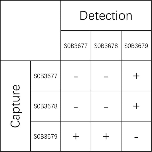 IL-1α Recombinant Rabbit mAb (SDT-2638-228)