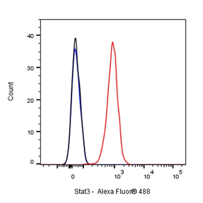 Stat3 Recombinant Rabbit mAb (S-1393-64)