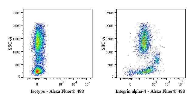 Anti-CD49d Monoclonal Antibody (Natalizumab)