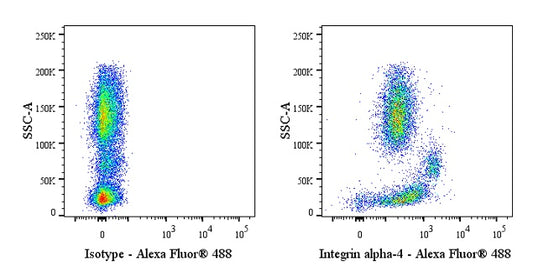 Anti-CD49d Monoclonal Antibody (Natalizumab)