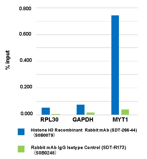 Histone H3 Recombinant Rabbit mAb (SDT-266-44)