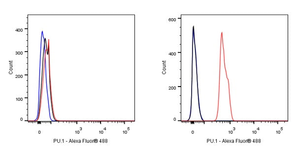 S-RMab® PU.1 Recombinant Rabbit mAb (SDT-R236)