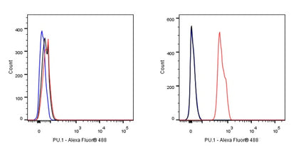 S-RMab® PU.1 Recombinant Rabbit mAb (SDT-R236)