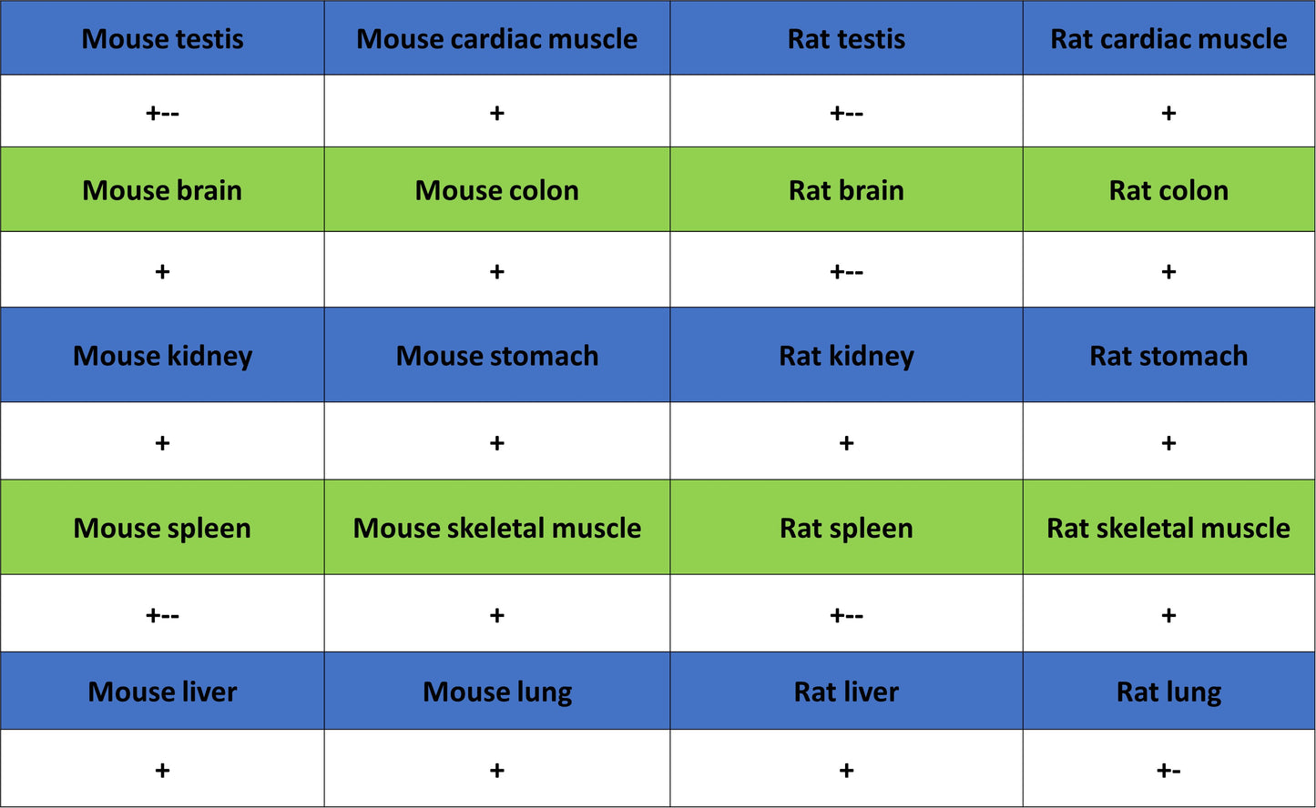 VDAC1 Recombinant Rabbit mAb (S-5314)