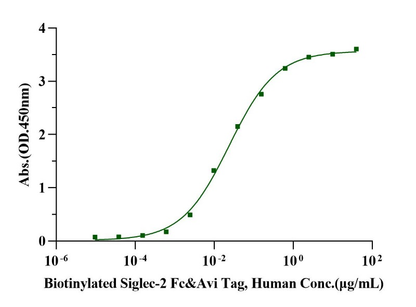 Biotinylated Siglec-2/CD22 Fc&Avi Tag Protein, Human