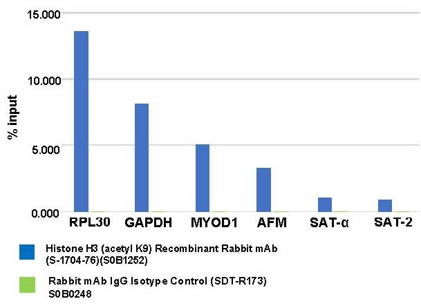 Histone H3 (acetyl K9) Recombinant Rabbit mAb (S-1704-76)