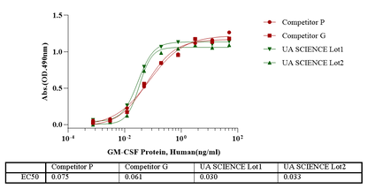 GM-CSF Protein, Human