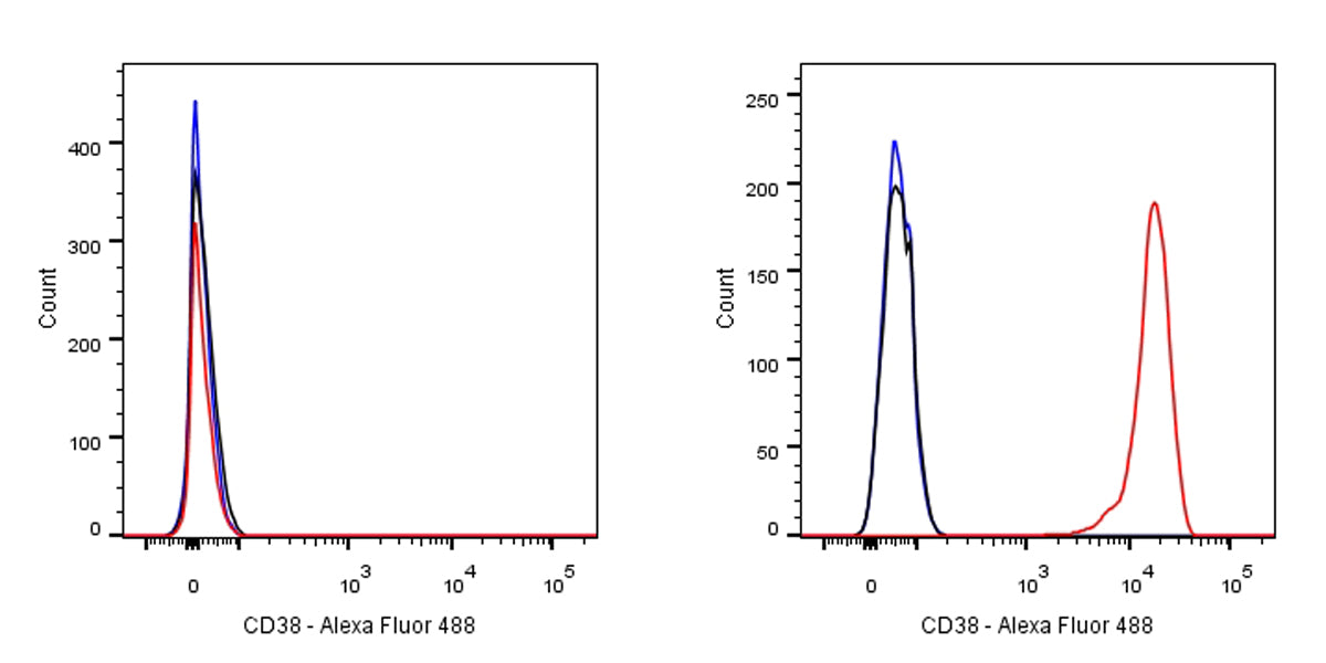 S-RMab® CD38 Recombinant Rabbit mAb (SDT-031-45-2)