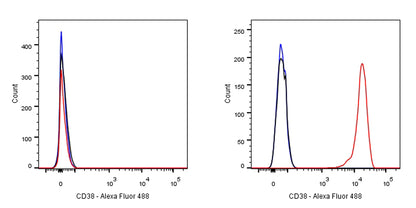 S-RMab® CD38 Recombinant Rabbit mAb (SDT-031-45-2)