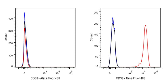 S-RMab® CD38 Recombinant Rabbit mAb (SDT-031-45-2)