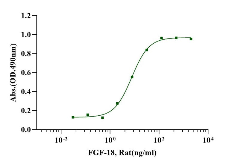 FGF-18 Protein, Rat