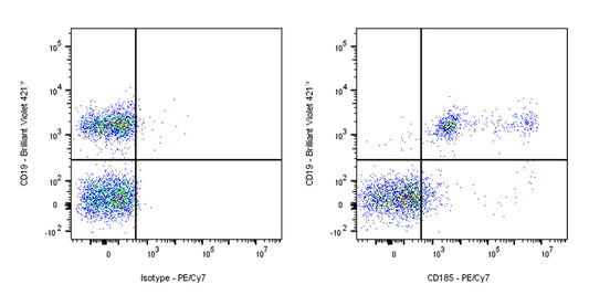 PE-Cy7 Rat Anti-Mouse CD185 Antibody (S-R600)