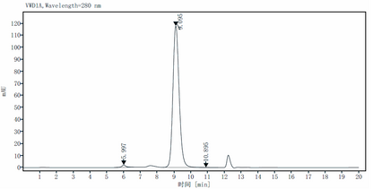 CTLA-4/CD152 Fc Chimera Protein, Cynomolgus