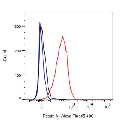 Fetuin A Recombinant Rabbit mAb (S-1109-5)