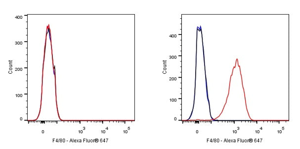 Rat Anti-Mouse F4/80 Antibody (S-R537)