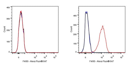 Rat Anti-Mouse F4/80 Antibody (S-R537)