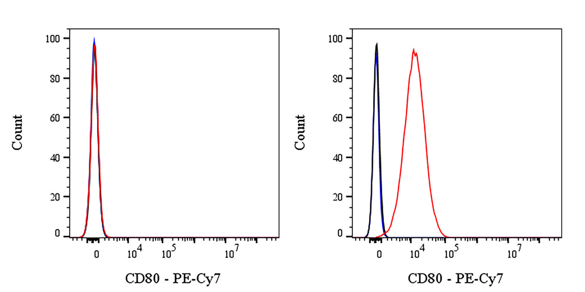 PE-Cy7 Mouse Anti-Human CD80 Antibody (S-3119)