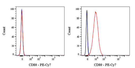 PE-Cy7 Mouse Anti-Human CD80 Antibody (S-3119)
