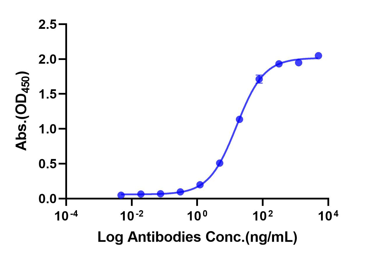 Anti-Human Nectin-4 Monoclonal Antibody (Enfortumab)