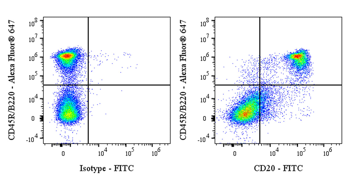FITC Mouse Anti-Mouse CD20 Antibody (S-3682)