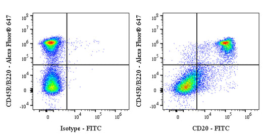 FITC Mouse Anti-Mouse CD20 Antibody (S-3682)