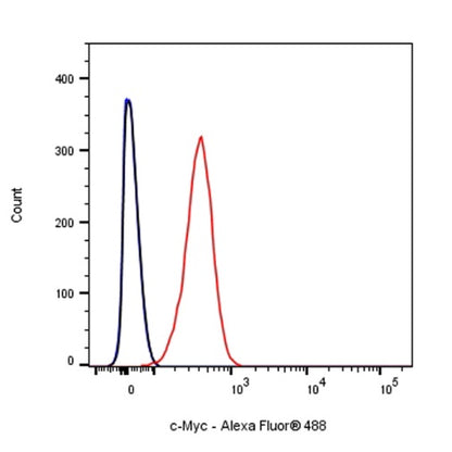 c-Myc Recombinant Rabbit mAb (S-519-54)