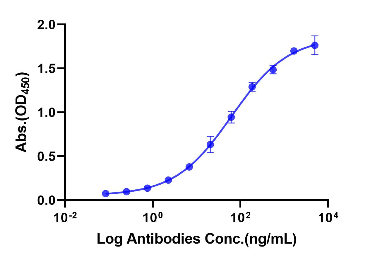 Anti-human Claudin 18.2 Monoclonal Antibody (zolbetuximab)